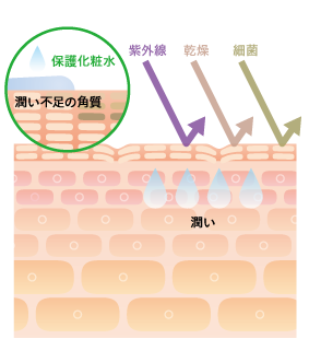 ナリスの美容理論 ナリス化粧品