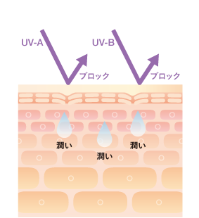 ファンデーション